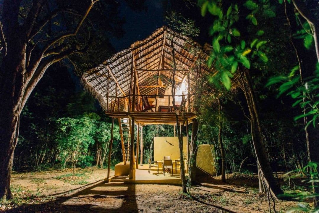 Back of Beyond,Sigiriya - Cozy Treehouse
