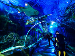 Sea Life Bangkok Ocean World Tickets, Book Now & Save 20%