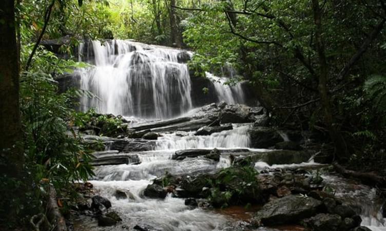Witness the View of Hadlu Waterfall