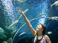 Underwater World Pattaya Tickets | Save 21% & Book @ ₹ 625 Only