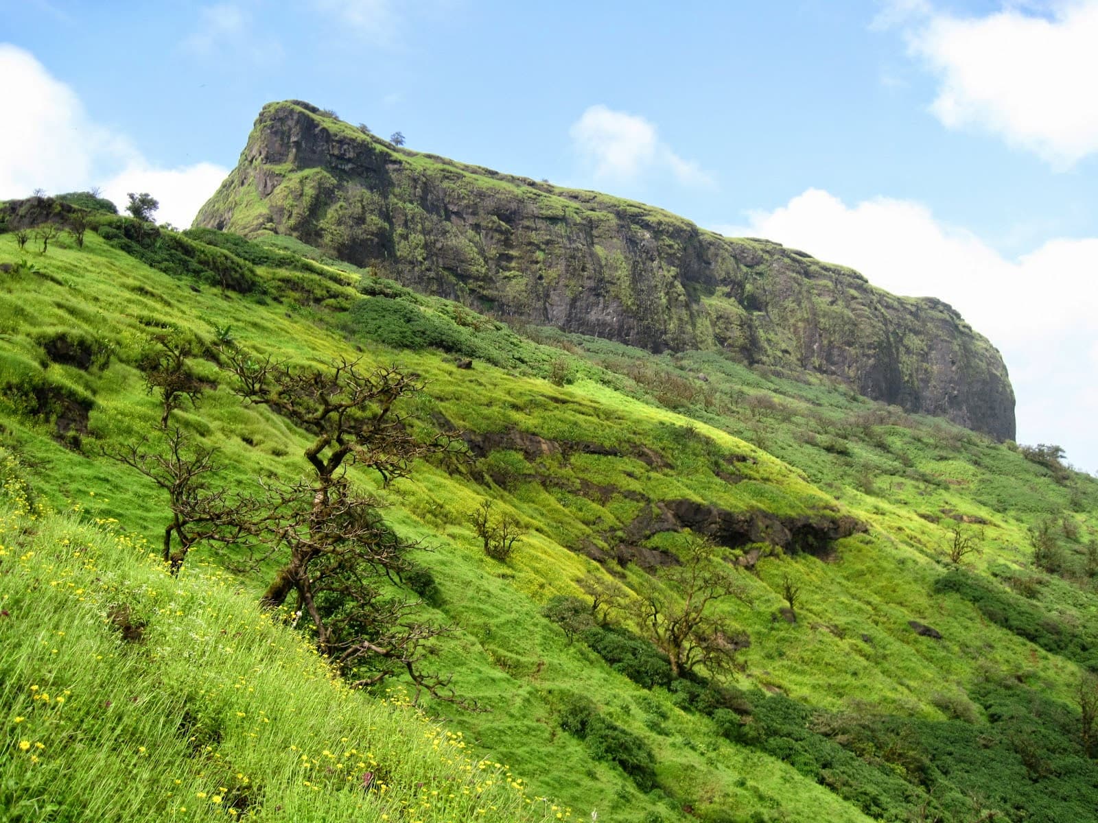 Harihareshwar (202 Km from Mumbai)