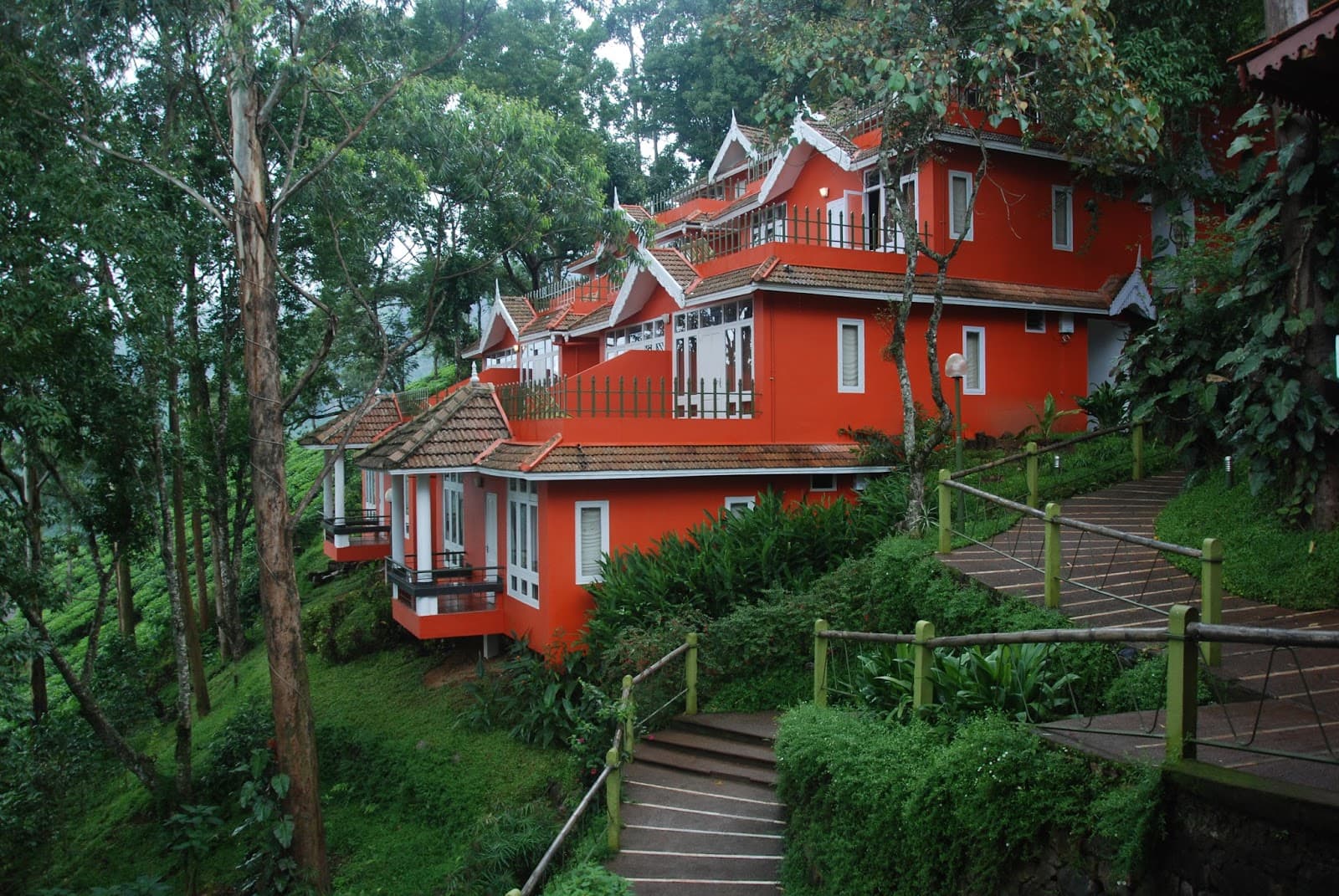 Tea Valley Resort