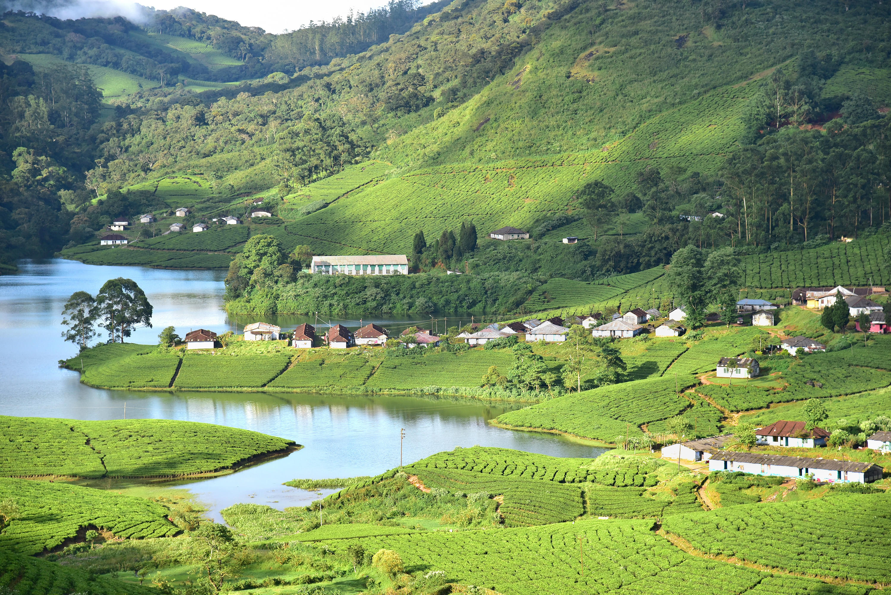 35 Places To Visit In Munnar Tourist Places Top Attractions   1522671846 Munnar 