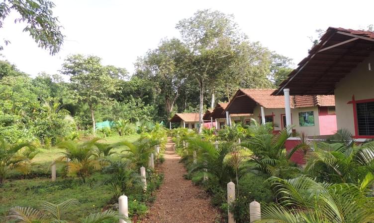 Jungle Nest Resort