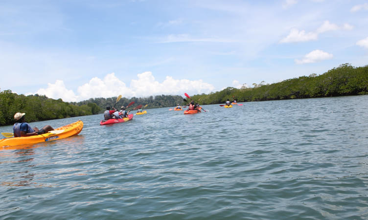 Kayaking on the Kali River