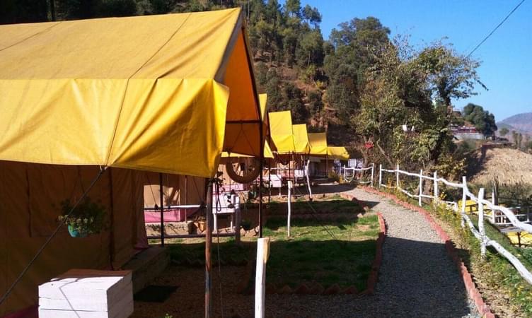 Camping in Shimla: Book The Best Camps Near Shimla @ ₹1000