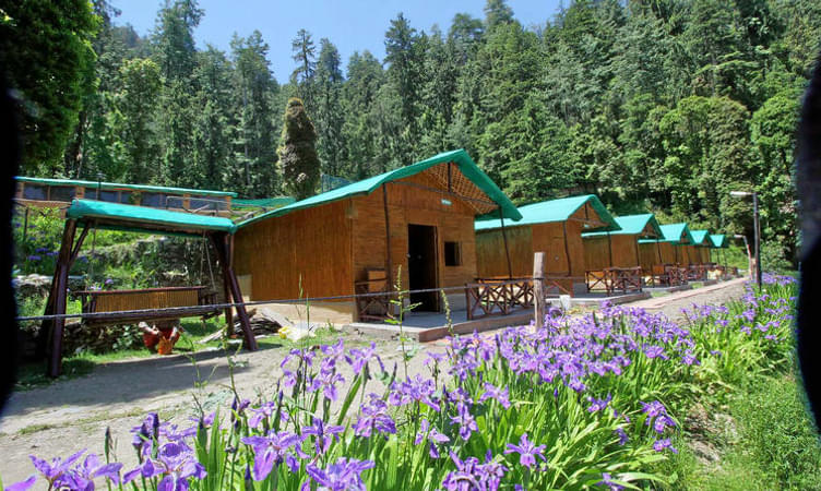 Go Camping in Shimla