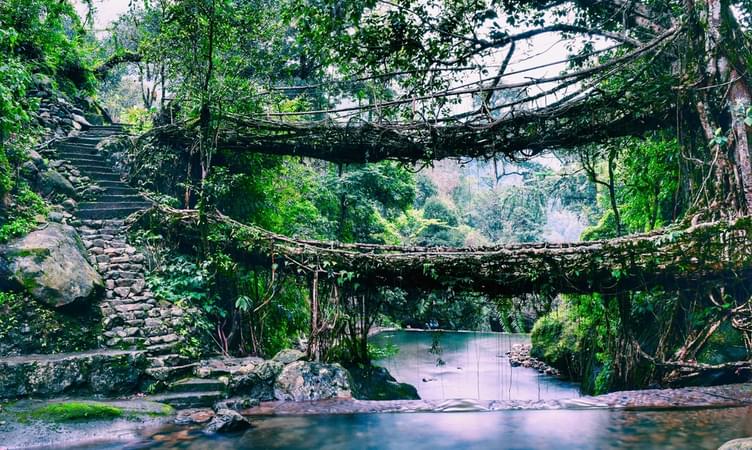 Double Decker Living Root Bridge (65 km from Shillong)
