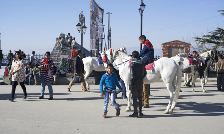 Horse Riding in Shimla