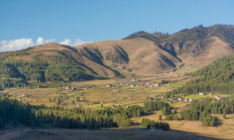 Phobjikha Valley, Wangdue