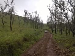 Hebbe Falls Jeep Ride I Book Online & Save 18%