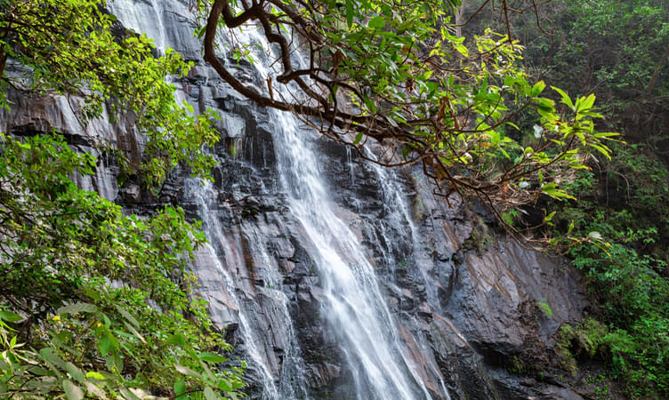 See the Mesmerising Beauty of the Pandav Waterfall