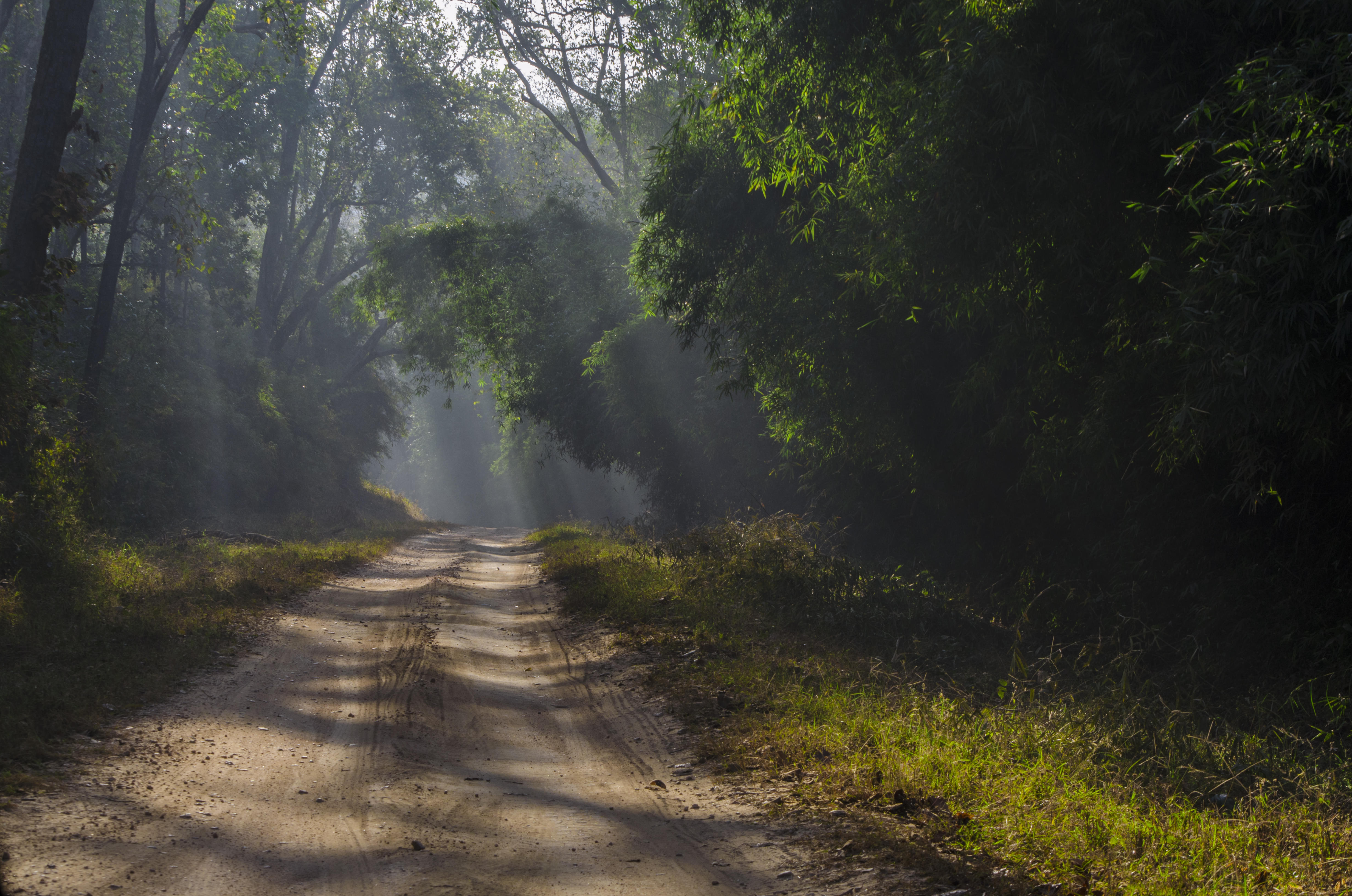 10 Best Road Trips to Take near Bhopal
