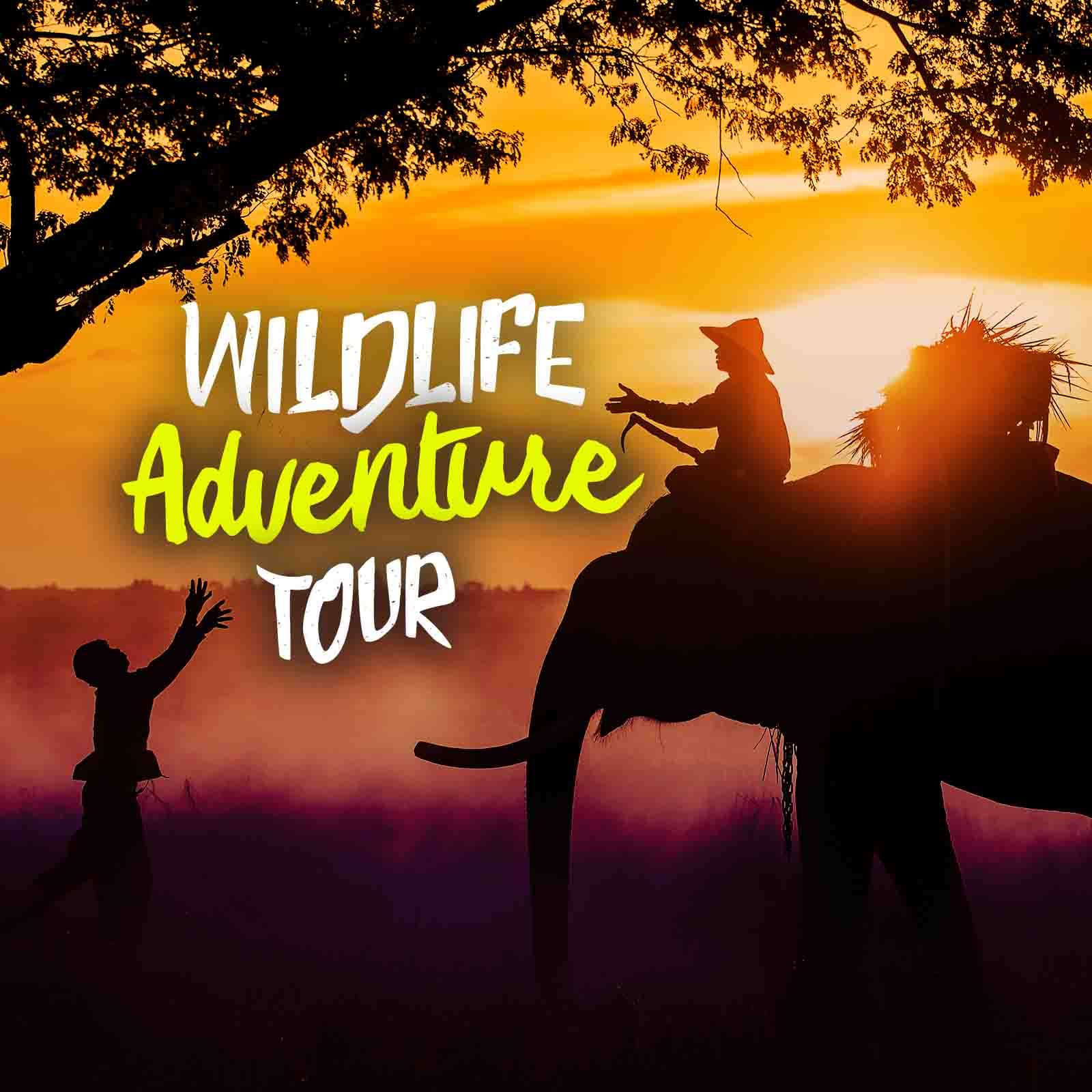 3 Days Kaziranga Guwahati Trip with Jeep Safari | Flat 13% off