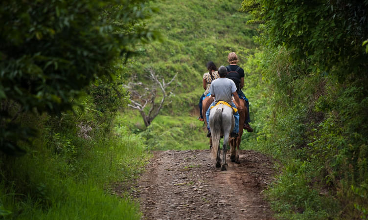 Horse Riding to Shillong Peak