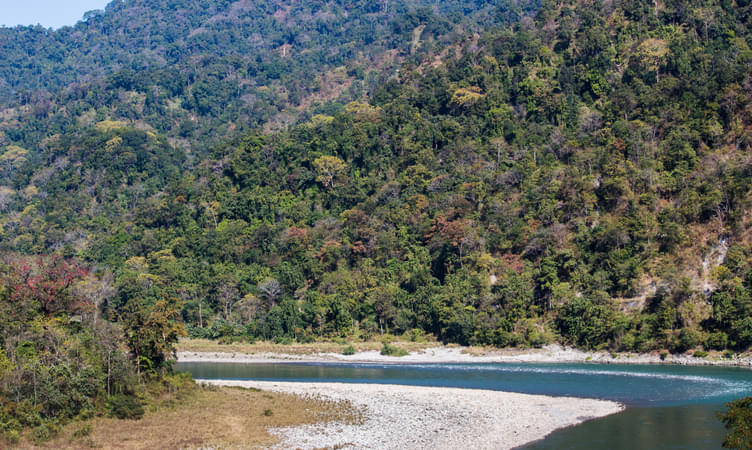 Best Time to Visit Manas National Park