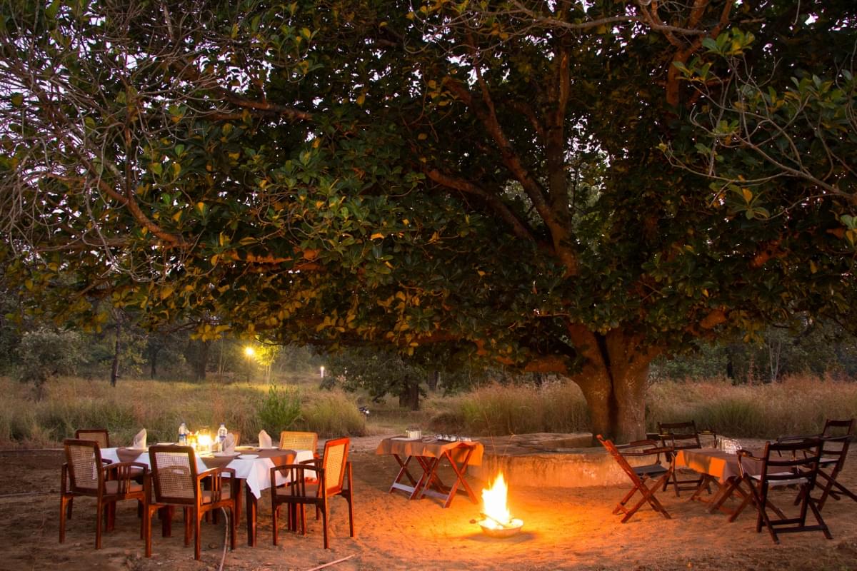 Adventure Resort Stay in Kanha National Park