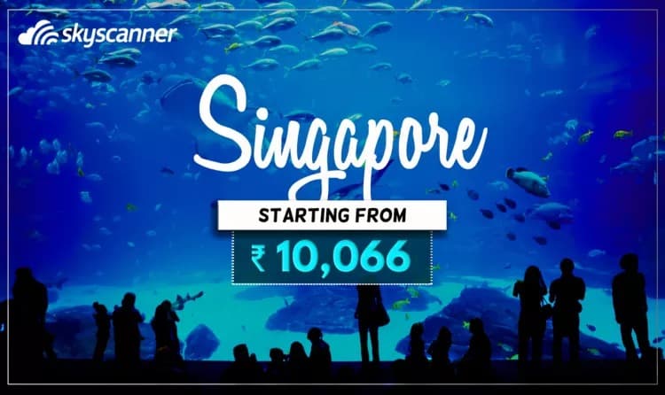 Singapore - One Destination for all-kind 