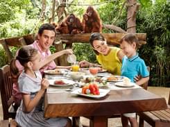 Breakfast with Orangutans at Bali Zoo @ Flat 20% off