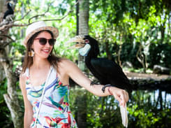 Bali Bird Park Admission Ticket- Flat 53% off