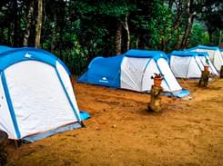 Camping in Sakleshpur | Book @ ₹1350 & Save Upto 28%