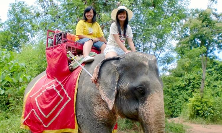 Elephant Trekking and Bamboo Rafting, Phuket Flat - 25% off