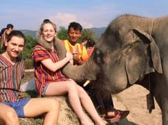Elephant Jungle Sanctuary in Phuket - Flat 15% off