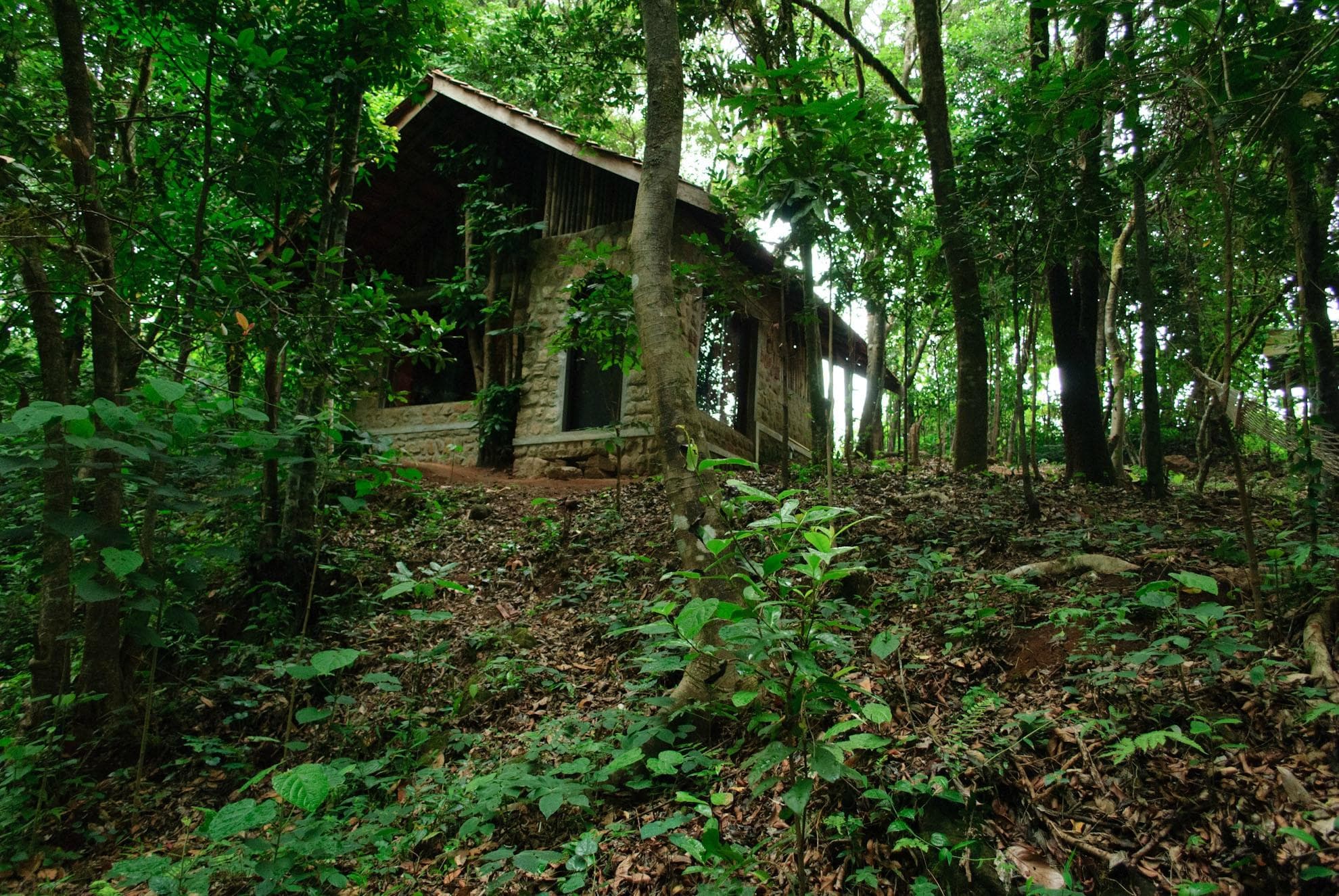 Hulivana Resort, Sakleshpur | Book Online & Get Inr500 Cashback