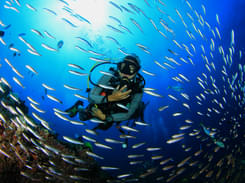 Scuba Diving in Pondicherry | Book Now @ Flat 27% off