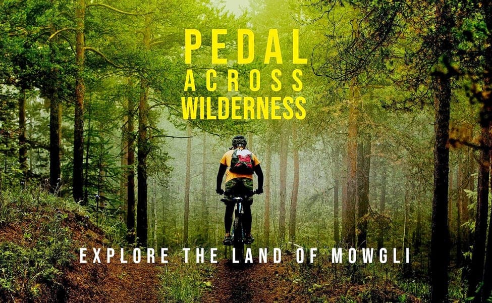 1545303275 1540273633 2018 09 14.jpg