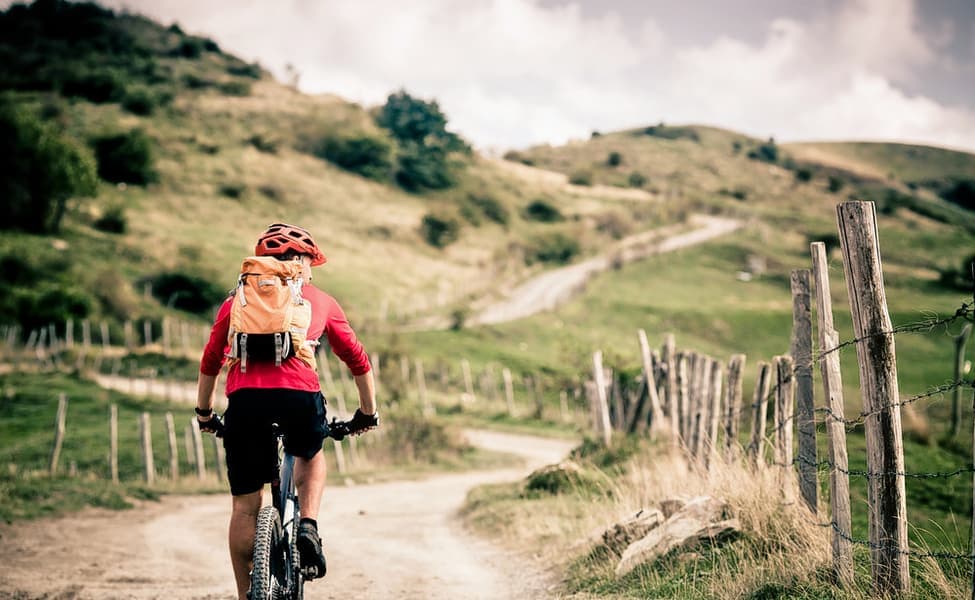 1545303467 1536992711 shutterstock 331661981.jpg