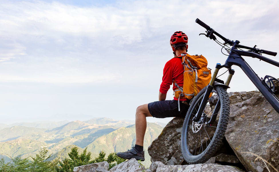 1545303713 1536992713 shutterstock 418102543.jpg