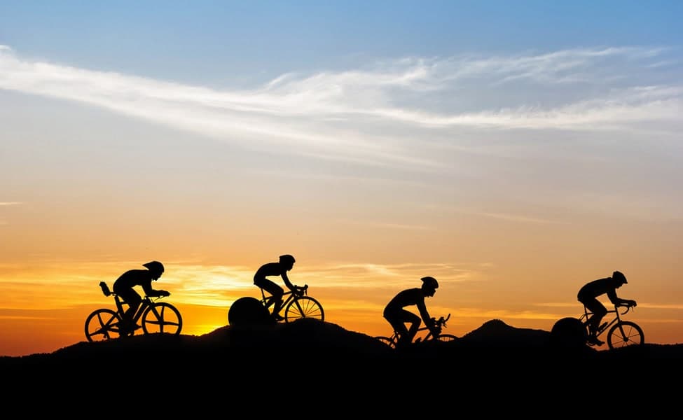 1545303878 1536992710 shutterstock 244708312.jpg