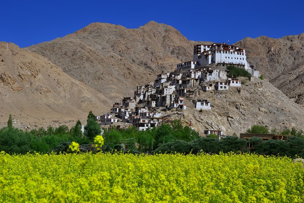 Ladakh in Summer
