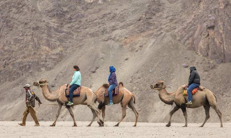 Camel Safari at Hunder Sand Dunes