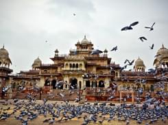 Sightseeing Tour of Rajasthan: 8 D/7n Exclusive