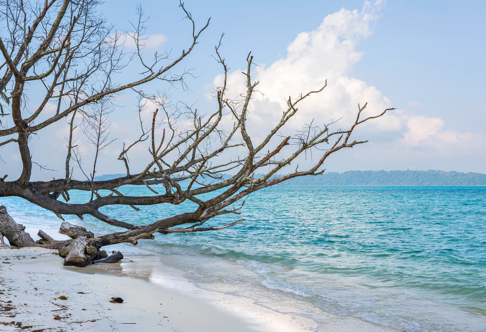 Port Blair in Winter 