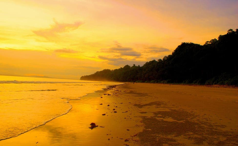 Havelock Weather & Temperature Guide - {{year}}