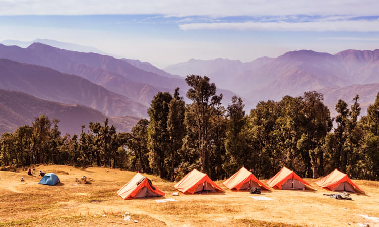 Camp in Peace and Tranquil Atmosphere of Dehradun