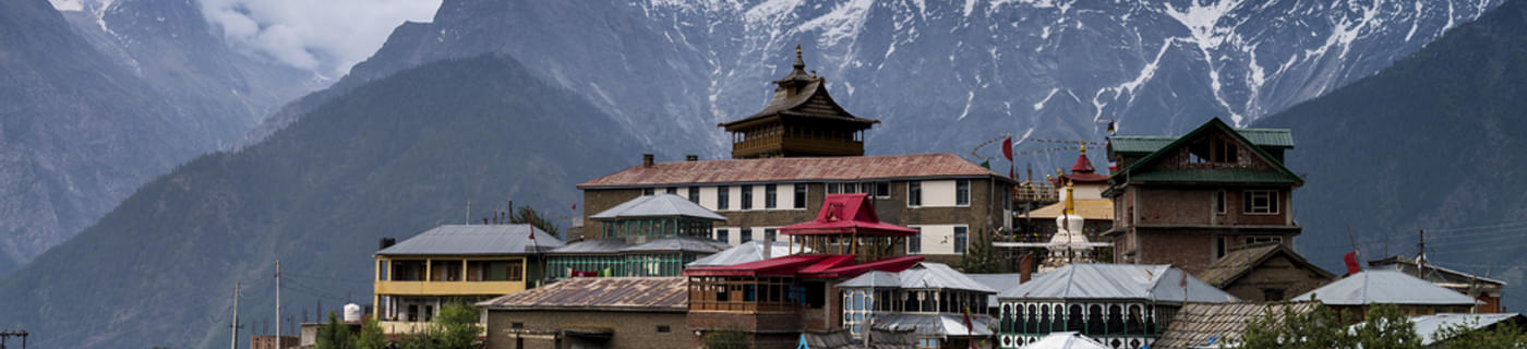 1548921352 kinnaaaaur