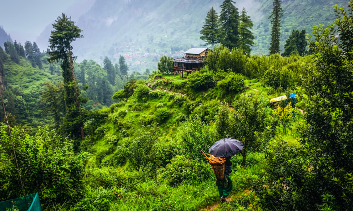 Kasauli