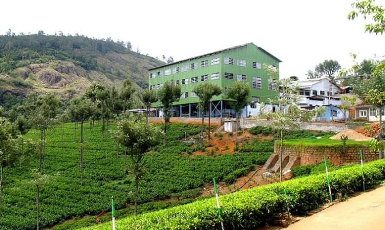 The Tea Factory and the Tea Museum