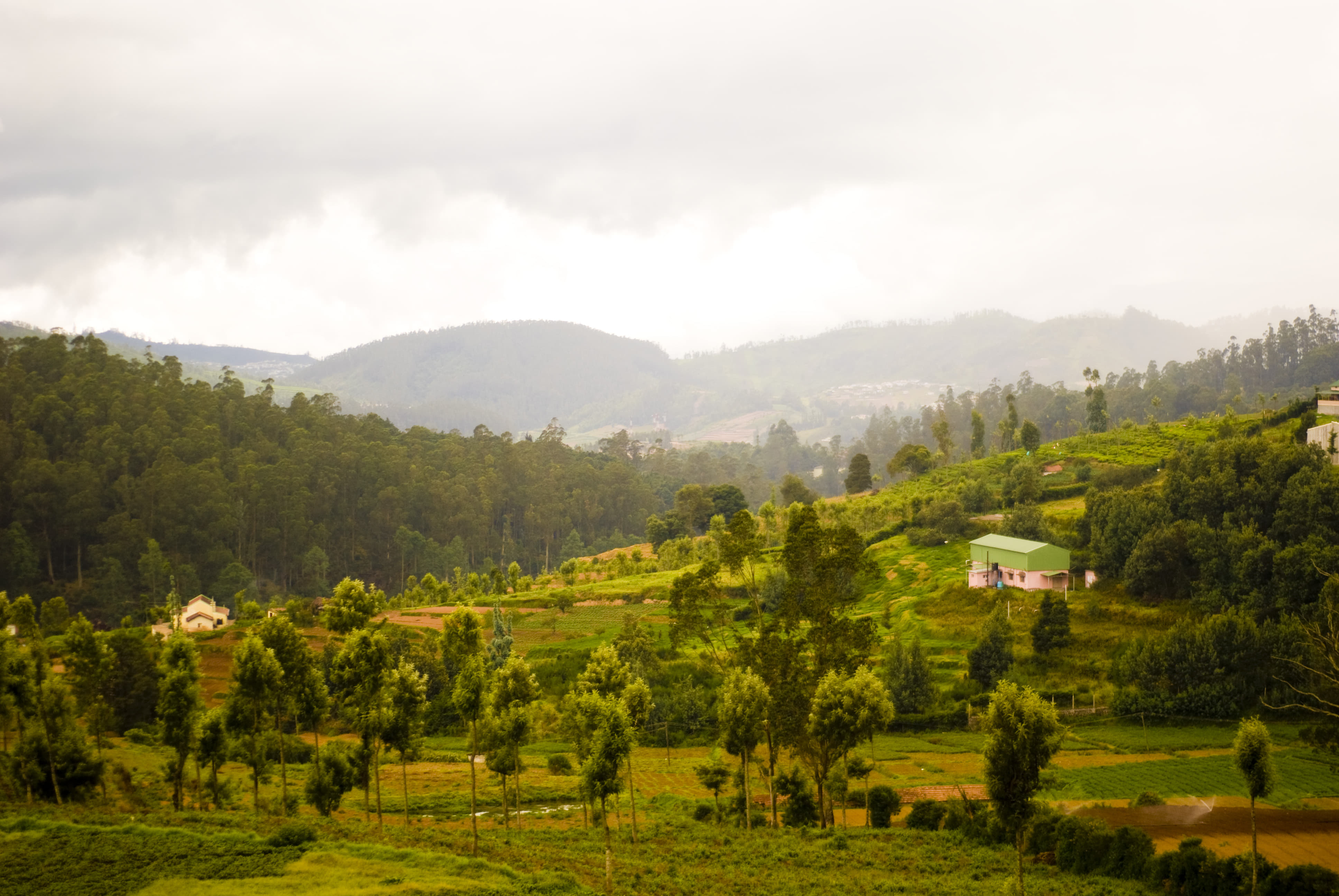 Coonoor, Tamil Nadu