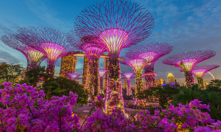 Spend a Romantic Evening at Gardens By the Bay