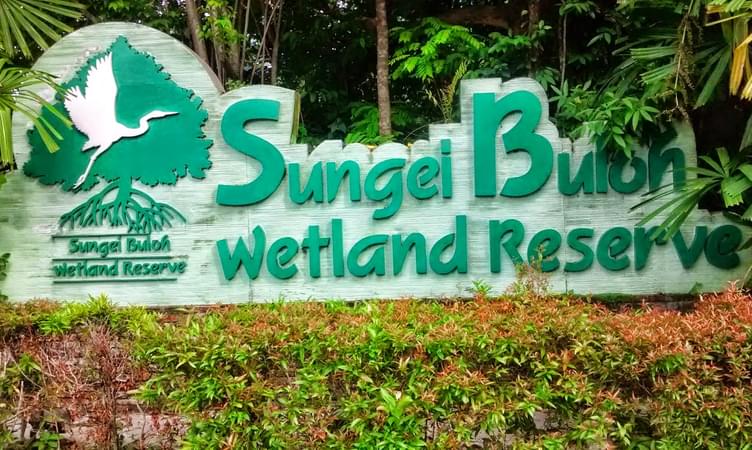 Spend Time In Nature at Sungei Buloh Wetlands