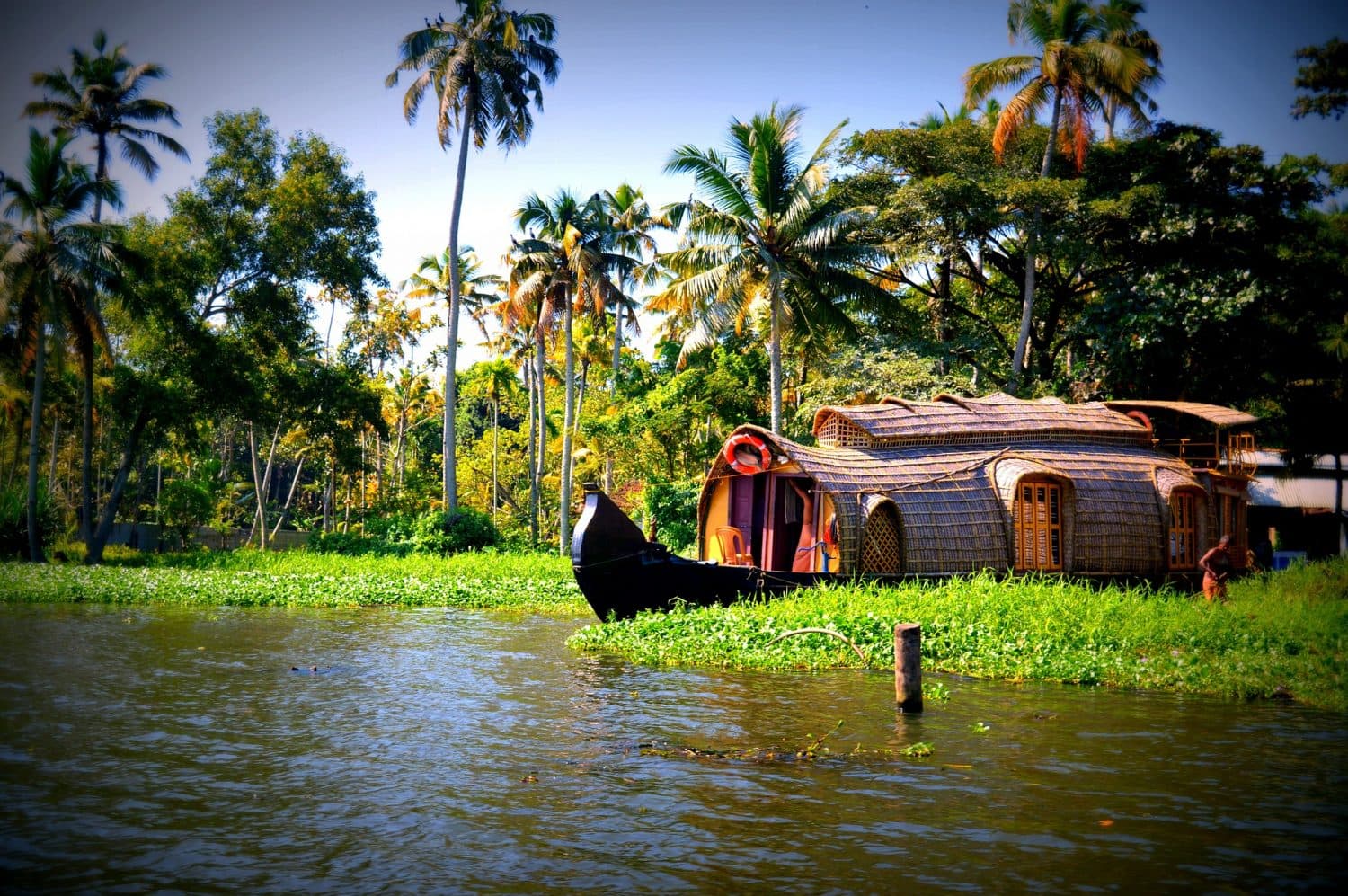 12 Best Places to Visit in Kerala in November - {{year}} (Photos)