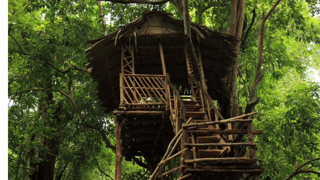 20 Tree Houses in Kerala {{year}} | Book Now & Get Upto 45% Off