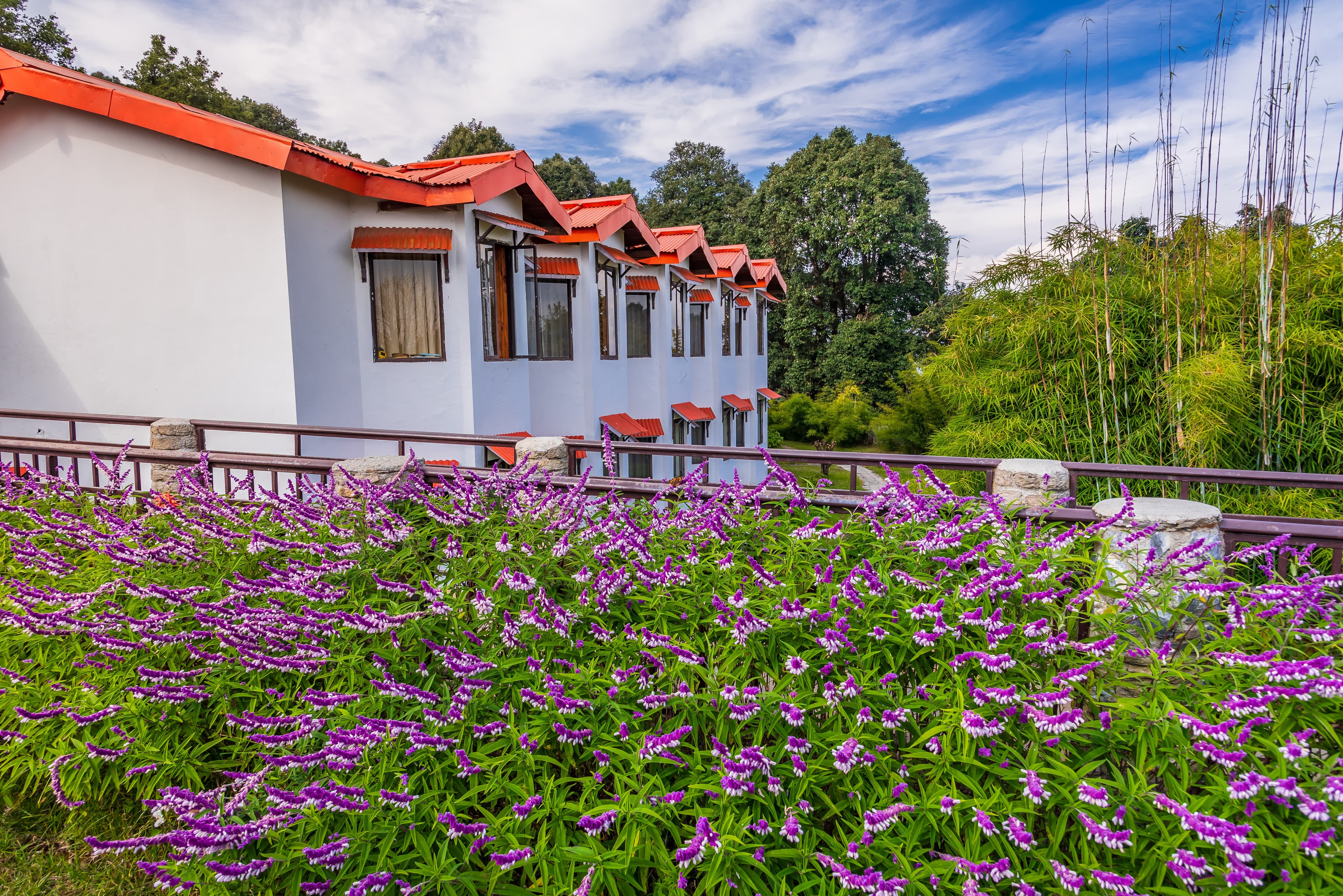 15 Kausani Resorts, Book Now & Get Upto 50% Off