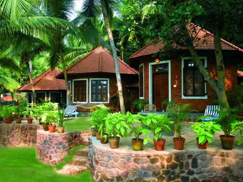 20 Best Ayurvedic Resorts In Kerala - 2024 (Photos & Reviews)