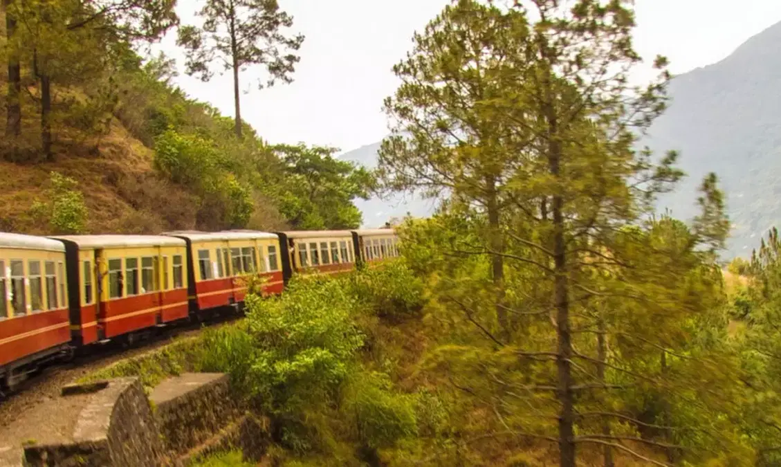 10 Best Things to Do in Kasauli 2024 (2500+ Reviews & Photos)